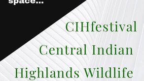 CIHfestival 2024